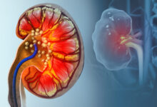 698354db42360412976b9789