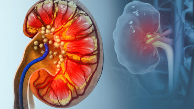 698354db42360412976b9789