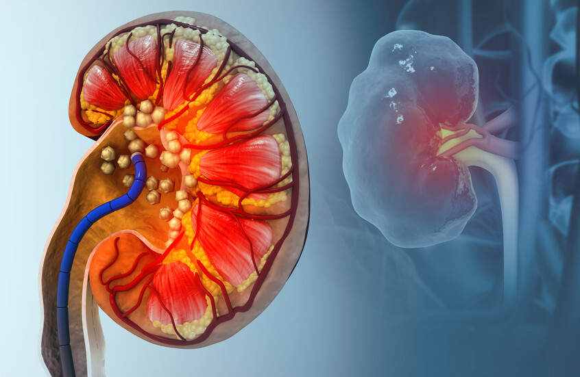 698354db42360412976b9789