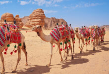 698371394c59b707b87bcb26 1