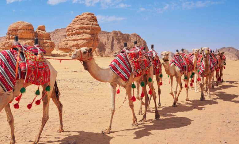 698371394c59b707b87bcb26 1