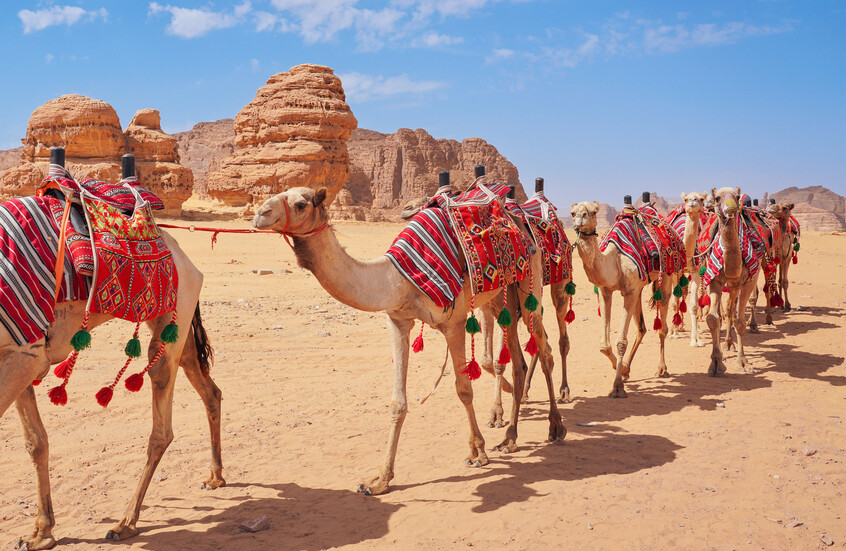 698371394c59b707b87bcb26 1