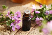 نبات طبي يساعد في محاربة سرطان القولون 7 6985da9a4236042e4f378b54