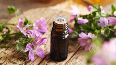 6985da9a4236042e4f378b54