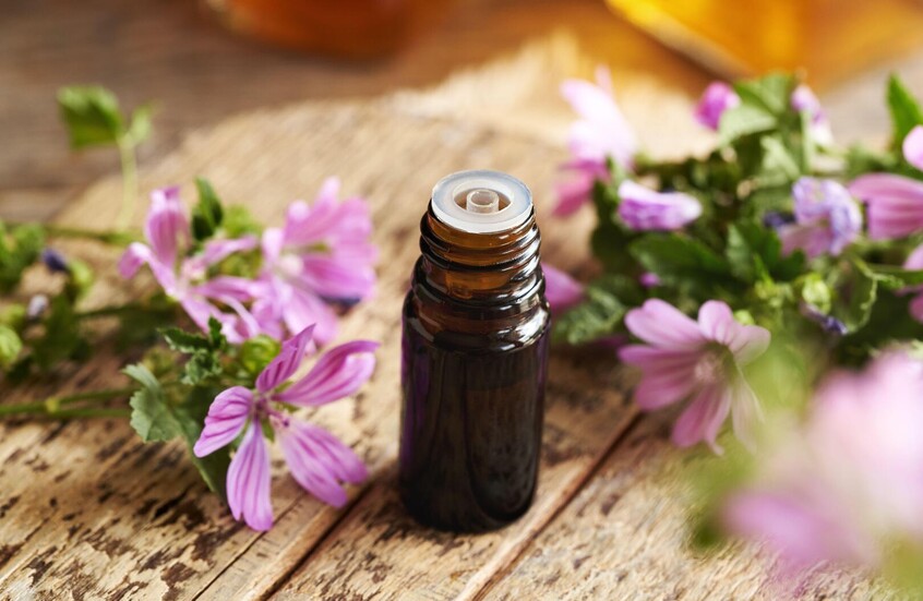 6985da9a4236042e4f378b54