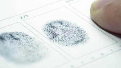 698863ae4c59b721d51e85cd