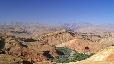 6989aabc4c59b77103334d54