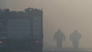 698bcb834c59b71276533480