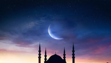 698ce77642360475180242d9