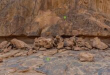 698dce4c4236045ee875338f