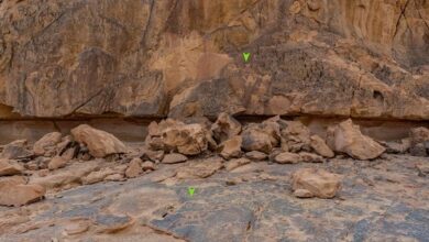 698dce4c4236045ee875338f