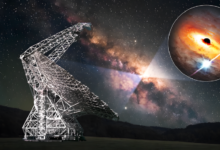 698eb48942360430a46658b6