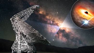 698eb48942360430a46658b6