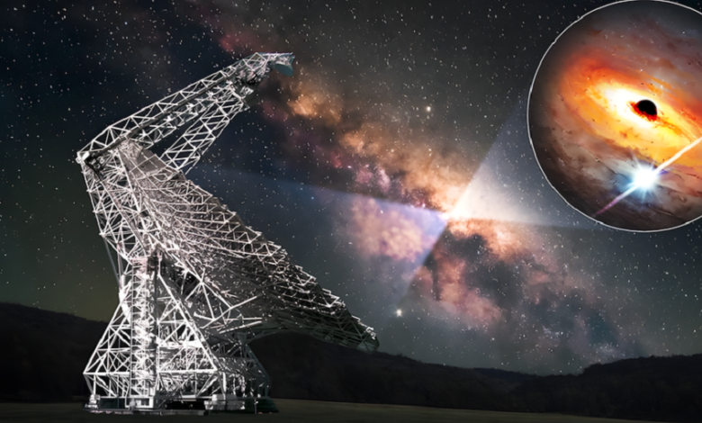 698eb48942360430a46658b6