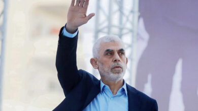 6991f6744c59b77cd8600297