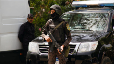 699879a14c59b7410f734af8