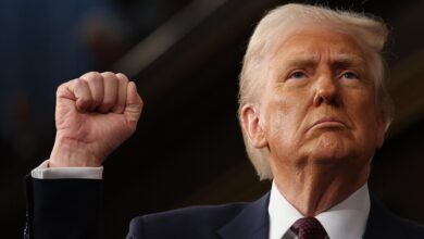 69991e554236041401024604