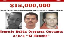 699b99e74c59b7242274af46