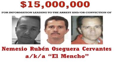 699b99e74c59b7242274af46