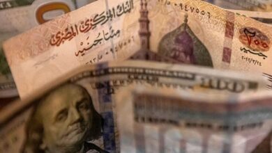 69a034204c59b7355c6515e3