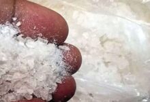 Shotcom ٢٠٢٦٠٢٢١ ١٨٠٠٤٣