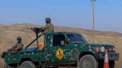 Shotcom ٢٠٢٦٠٢٢٢ ٠٢١٣٥٦