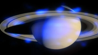 69a6cd444c59b7461c04f744