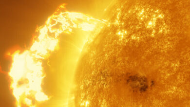 69a95f4f4c59b72d7c001c2a