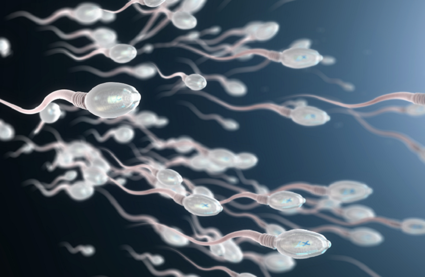 69aaa29f4c59b7244c370d62