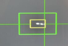 69bfbdb64236042a8b50214e