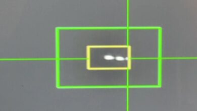 69bfbdb64236042a8b50214e