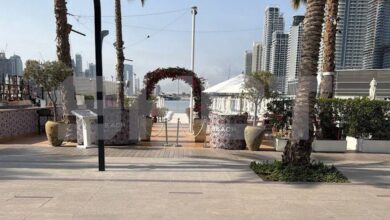 IMG ٢٠٢٦٠٣٠١ ١٦٢٨٣٢