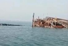 IMG ٢٠٢٦٠٣١٣ ١٩٠٨٥٤