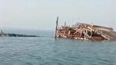 IMG ٢٠٢٦٠٣١٣ ١٩٠٨٥٤