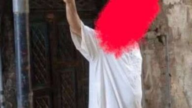 IMG ٢٠٢٦٠٣١٥ ٠٣٥٧١١