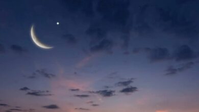 IMG ٢٠٢٦٠٣١٨ ٢٠٥٨٤١