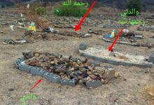 IMG ٢٠٢٦٠٣٢١ ١٦٠٢٣٣ 1