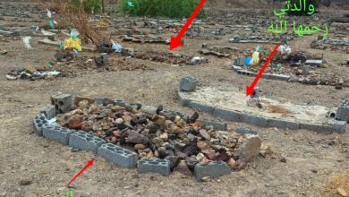 IMG ٢٠٢٦٠٣٢١ ١٦٠٢٣٣ 1