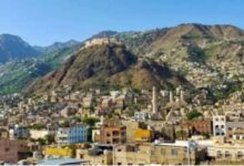 IMG ٢٠٢٦٠٣٣١ ٠٠٤٧٣٩