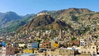 IMG ٢٠٢٦٠٣٣١ ٠٠٤٧٣٩