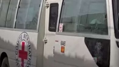 Shotcom ٢٠٢٦٠٣٢٣ ٠٩٥٦٢٩