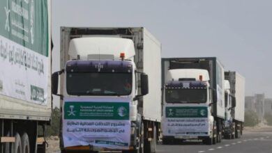 ٢٠٢٦٠٣١١ ٠٤٢٤٢٩