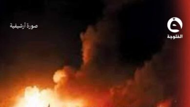 ٢٠٢٦٠٣١٦ ٢٣٣٣٥٥