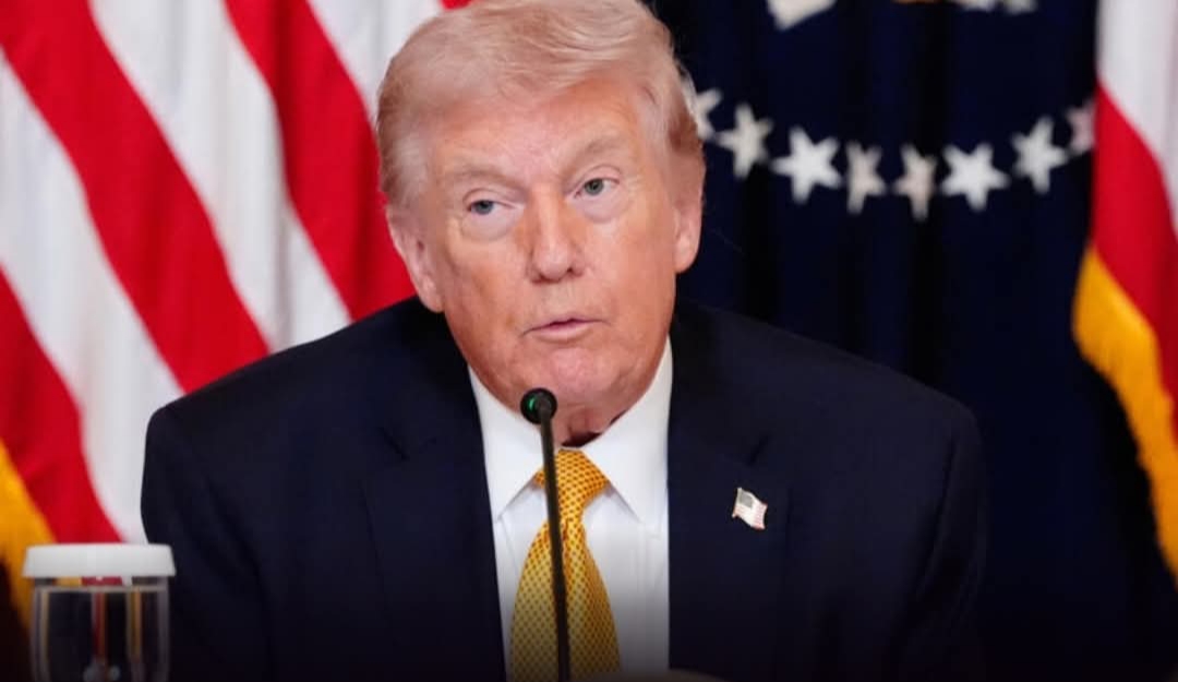 ٢٠٢٦٠٣٢٣ ٠٩٣٢٣٣