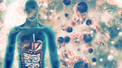 69cd300a4c59b72eeb2e806e