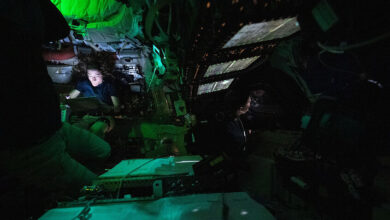 69d3702c4236044e4c461a15