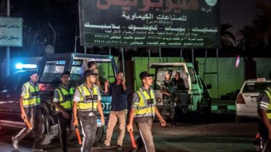 69d371954c59b73cd54338b2