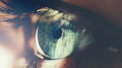 69d911cf4c59b70b7d3e32da