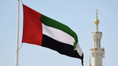 69d998c642360441d35aeeb5