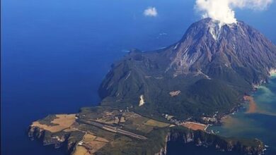 69dc796e4236044fb553157c